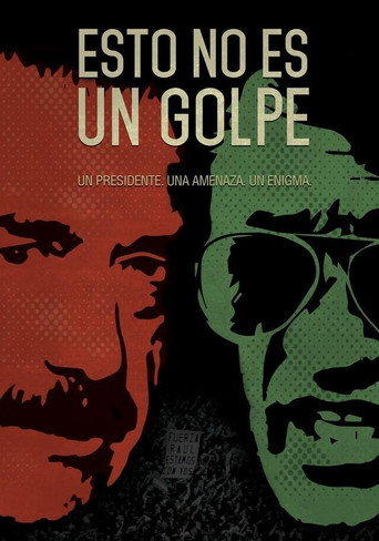 This Is Not a Coup movie poster
