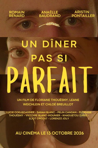 Un dîner pas si parfait movie poster