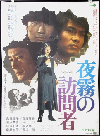 Visitor After Dark movie poster