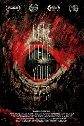 Gone Before Your Eyes movie poster