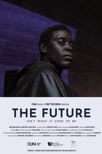 The Future Isn't What It Used To Be movie poster
