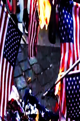 Naughty America: Guns & Stripes movie poster