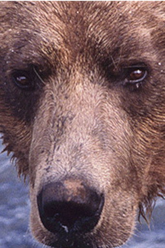 Showdown at Grizzly River movie poster