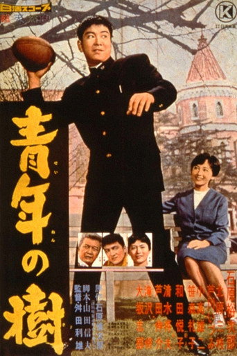 The Day of Youth movie poster
