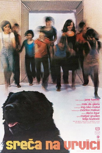 Hang on, Doggy movie poster