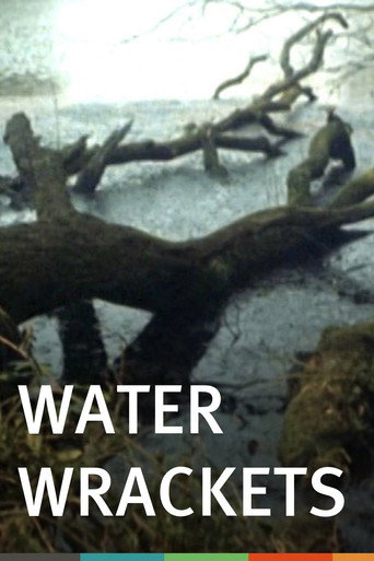 Water Wrackets movie poster