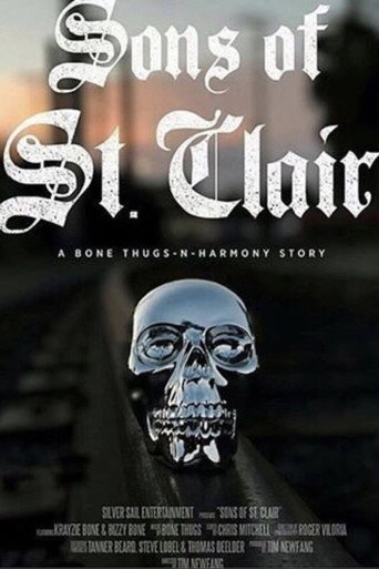 Sons of St. Clair movie poster