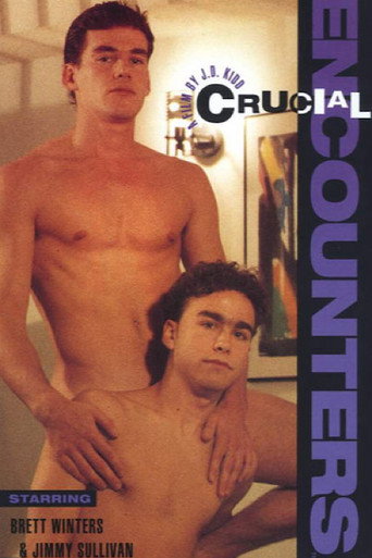Crucial Encounters movie poster