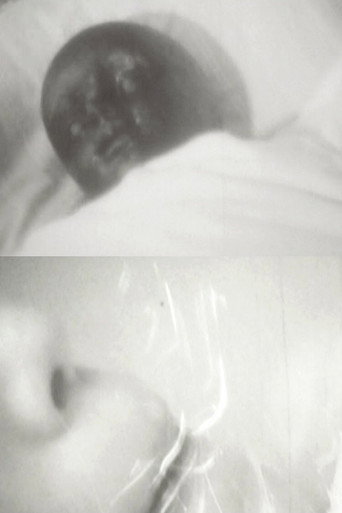 Lazy Virus Of The Afternoon movie poster