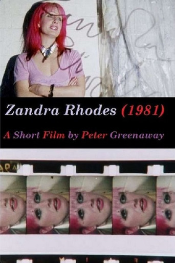 Zandra Rhodes movie poster
