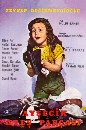 Aysecik: Naughty Kid movie poster