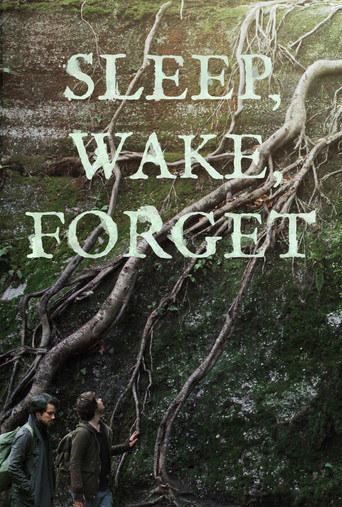 Sleep, Wake, Forget movie poster