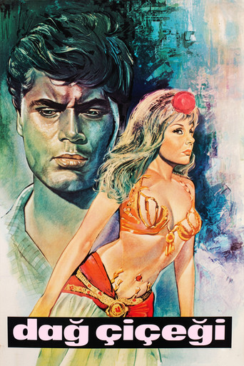 Dağ Çiçeği movie poster