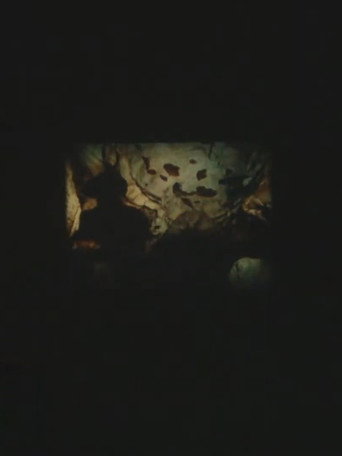 Sans titre (Lascaux) movie poster