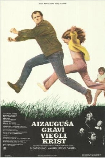 It's Easy to Fall Into an Overgrown Ditch movie poster