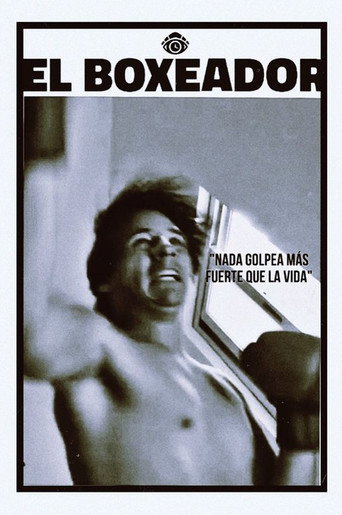The Boxer movie poster
