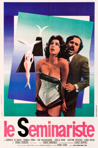Le seminariste movie poster