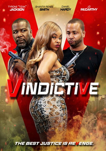 Vindictive movie poster