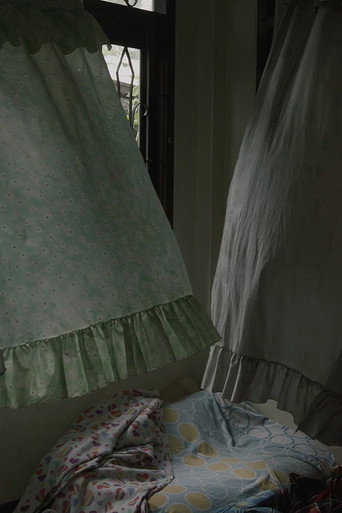 Wind in Home movie poster