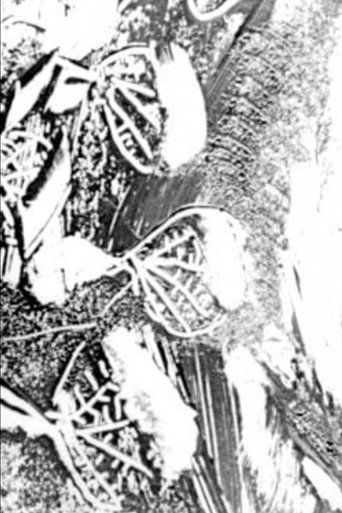 Atlantyda movie poster