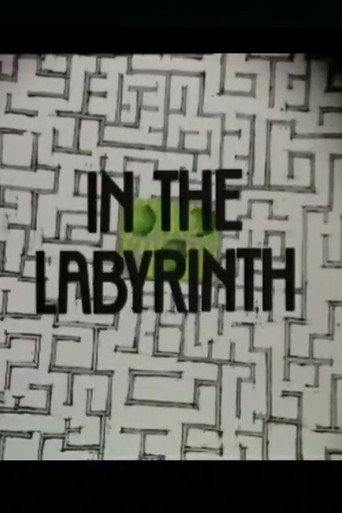 In the Labyrinth movie poster