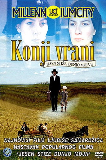 Black Horses movie poster