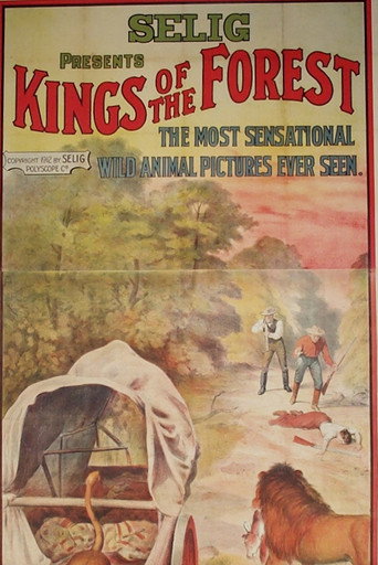 Kings of the Forest movie poster