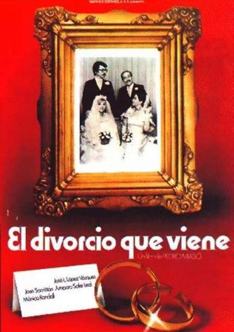 El divorcio que viene movie poster