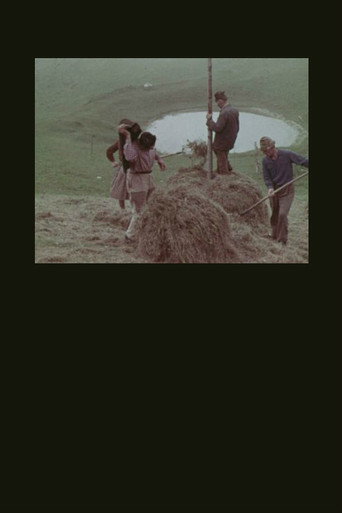 La montagna del sole movie poster