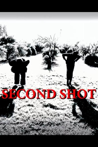 Second Shot movie poster