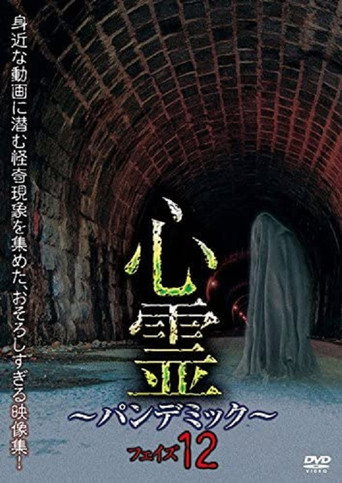 Spirit Pandemic Phase 12 movie poster