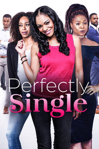 Perfectly Single movie poster