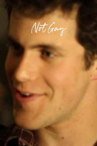 Not Gay movie poster