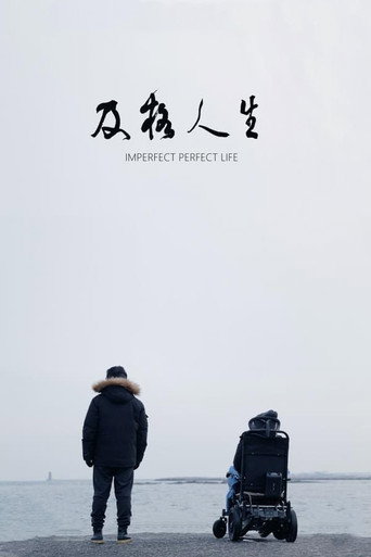 Imperfect Perfect Life movie poster