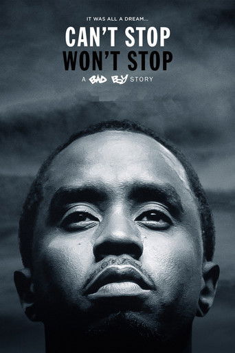 Can't Stop, Won't Stop: A Bad Boy Story movie poster