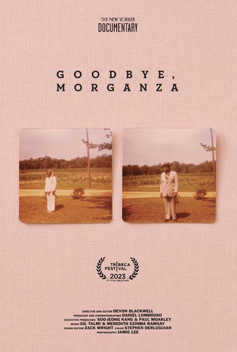 Goodbye, Morganza movie poster