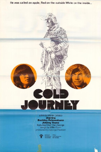 Cold Journey movie poster