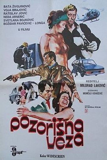 The Theatre Connection movie poster