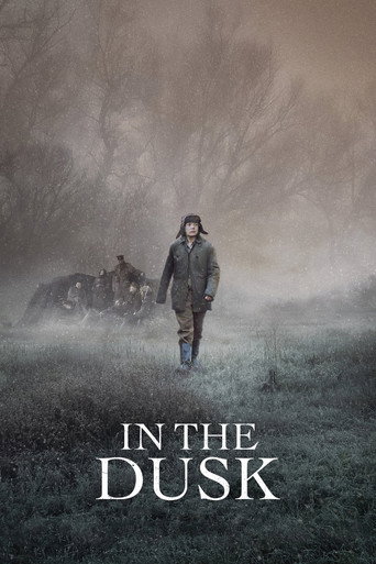 In the Dusk movie poster