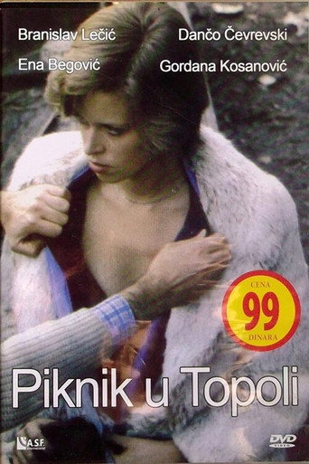 Picnic in Topola movie poster