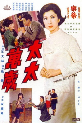 Darling, Stay at Home movie poster