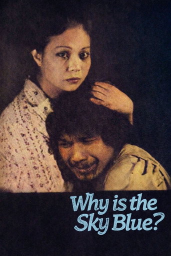 Why Is the Sky Blue? movie poster