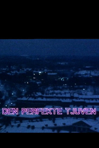 Den perfekte tjuven movie poster