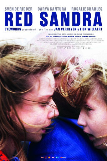 Save Sandra movie poster