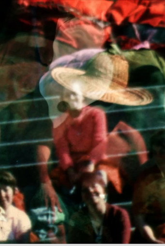 Fourteen variations on the intimate movie poster