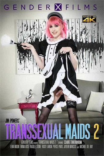 Transsexual Maids 2 movie poster