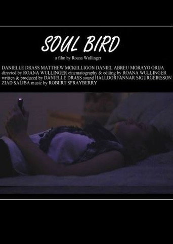 Soul Bird movie poster