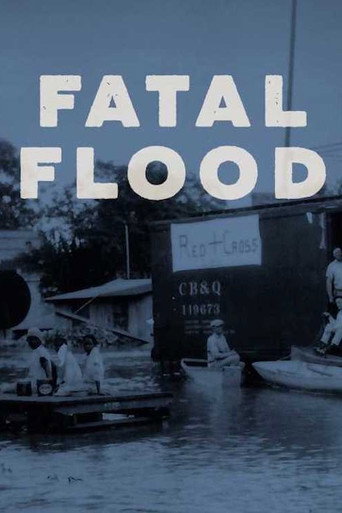 Fatal Flood movie poster