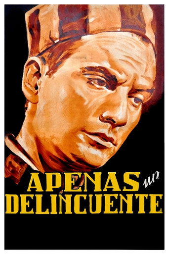 Hardly a Criminal movie poster
