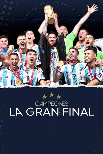 Campeones, la gran final movie poster